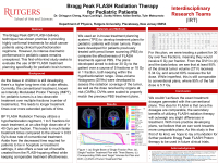A Comprehensive Approach to Brain Radiation Therapy