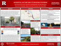 Investigating Incidental Urban Nature and Its Reasons for Being
